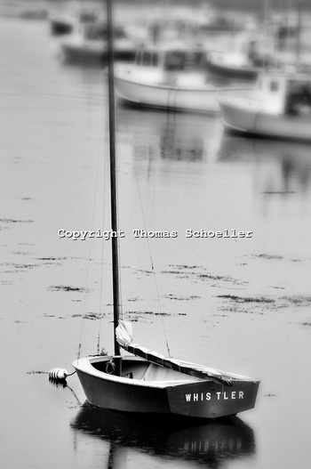 Model Ship Building Workbench Edition, 14 Foot Aluminum Boat Cover Jacket, Ncert Solutions Class 10th Exercise 12.3 Excel