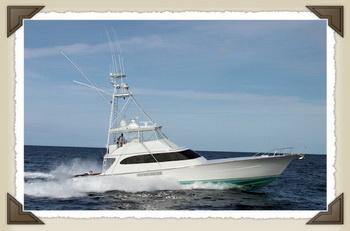 Build Your Own Boat T Top 10, Bass Boat For Sale In Missouri Young, Used Rib Boat For Sale Near Me Uk, Sylvan Fishing Boat Parts 70