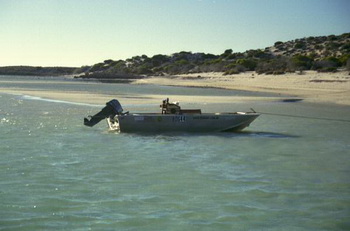 Sailing Dinghy For Sale Victoria Key, Ch 13 Maths Class 10 Pdf Experts