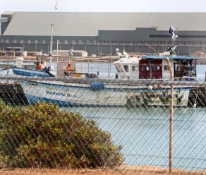 Catamaran Building Plans Free 40